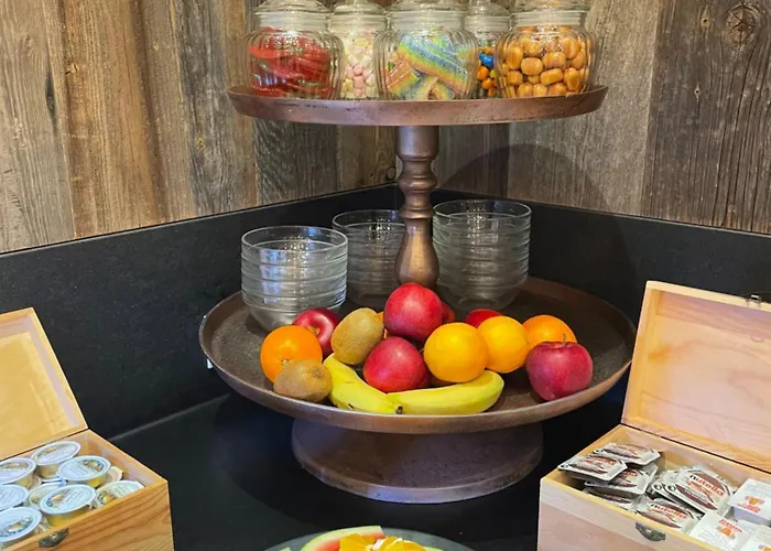 公寓 迪潘登思中央公寓 伊施格尔